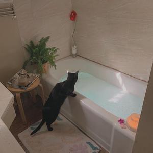 性奴调教视频外网网站
